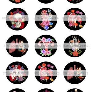 anatomy with flowers - 1 inch circle images, bottlecap, cupcake topper - INSTANT DOWNLOAD