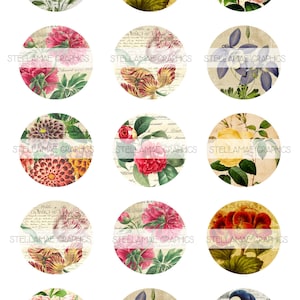 vintage botanicals - 1 inch circle images, bottlecap, bottlecap images - INSTANT DOWNLOAD