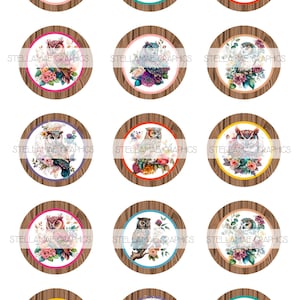 Búhos florales - Imágenes circulares de 1 pulgada, tapa de botella, adorno para cupcakes - DESCARGA INSTANTÁNEA