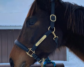 Super Soft Black Padded Leather Adjustable Halter with Solid Brass Nameplate- Made in the USA, 1" WIDE