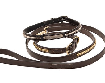 Clincher Dog Leash