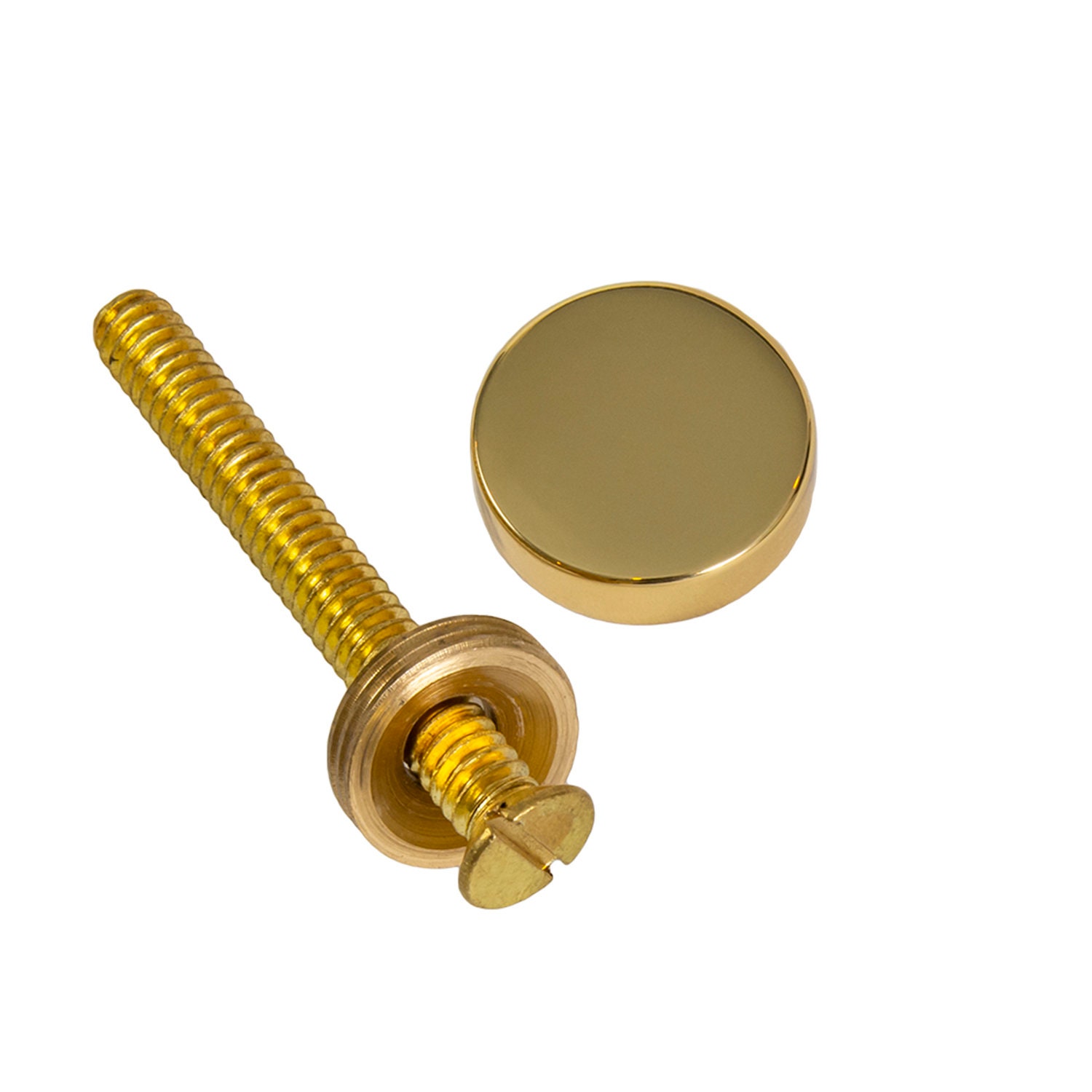 Large Vintage Antique Solid Brass Ornate Lions Head Door Knocker