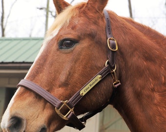 Brown Triple Stitched Leather Halter with Solid Brass Nameplate-ADJUSTABLE- Made in the USA, 1" WIDE