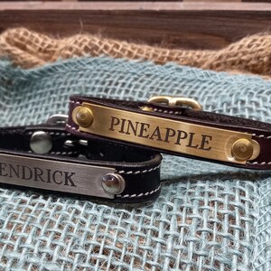 May include: Two black leather dog collars with metal nameplates. The top collar has a gold nameplate with the name "PINEAPPLE" engraved on it. The bottom collar has a silver nameplate with the name "KENDRICK" engraved on it.