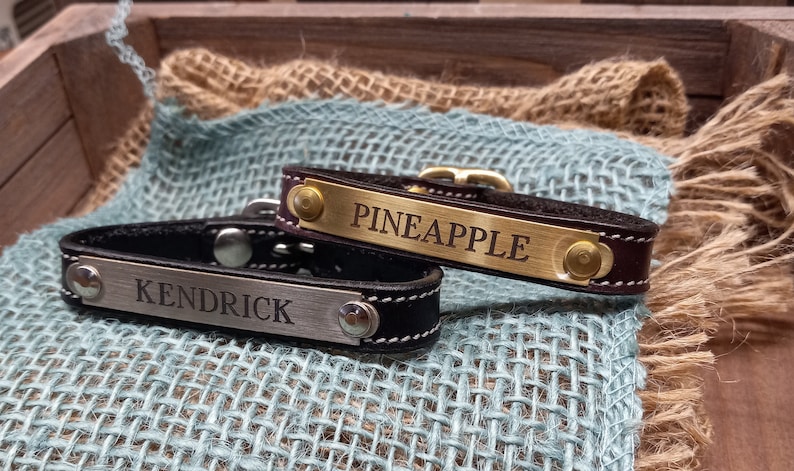 May include: Two black leather dog collars with metal nameplates. The top collar has a gold nameplate with the name "PINEAPPLE" engraved on it. The bottom collar has a silver nameplate with the name "KENDRICK" engraved on it.