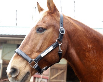 Super Soft Black Padded Leather Adjustable Halter with Solid Nickel Nameplate- Made in the USA, 1" WIDE