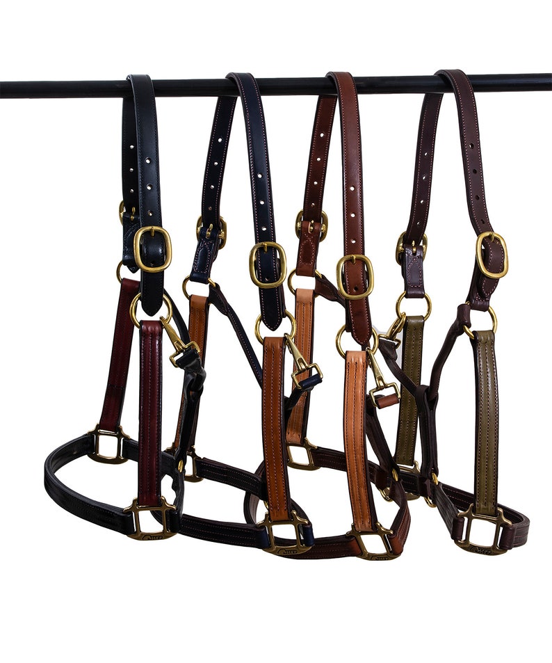 Two Tone Triple Stitched Leather Halters with Solid Brass Etsy