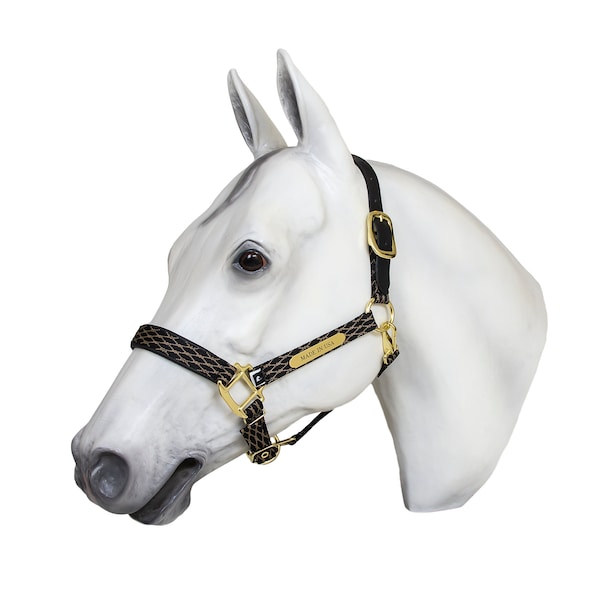 Comfy Padded Breakaway Nylon Halter with Custom Solid Brass Nameplate