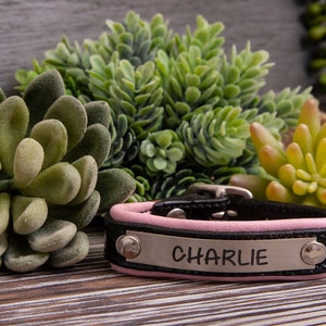 May include: A black leather dog collar with a pink trim and a silver nameplate that reads "CHARLIE".