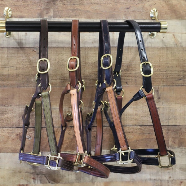 Leather Halter With Nameplate Etsy