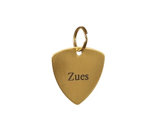 Halter or Bridle Tag- Solid Brass