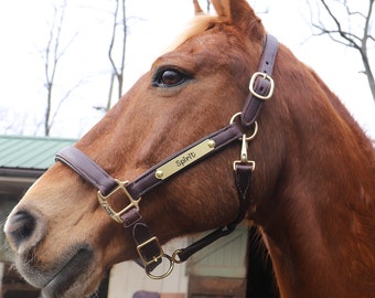 Super Soft Comfy Padded Adjustable Leather Halter with Solid Brass Nameplate- Brown or Chestnut/Carrot- Made in the USA, 1" or 3/4" WIDE