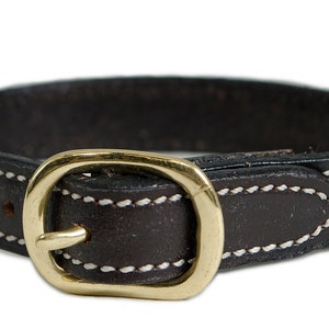 May include: A brown leather dog collar with white stitching and a brass buckle.