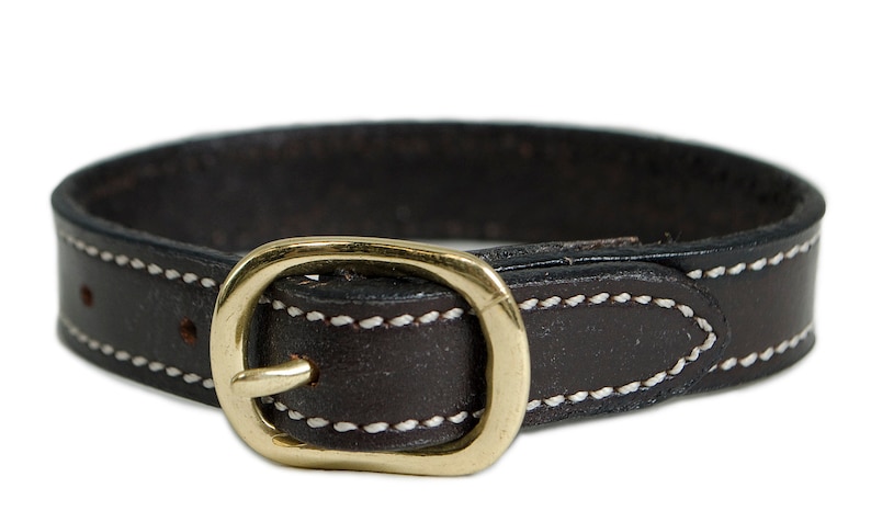 May include: A brown leather dog collar with white stitching and a brass buckle.