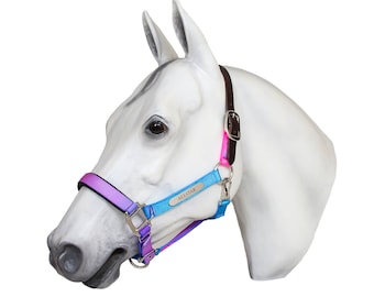 Comfy Padded Breakaway Nylon Halter with Personalized Solid Nickel Nameplate