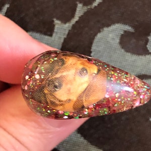 Dashhound adjustable resin ring