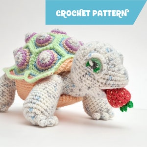 Astro the Tortoise | life-sized amigurumi crochet pattern