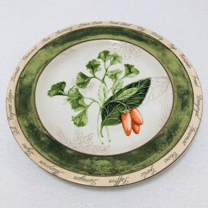 AA American Atelier Bouquet Garni 5011 Salad Plate 8&quot; Stoneware Herb Green Leaf Basil Pepper Paisley Lemon Balm Bay Sage Coriander Fennel