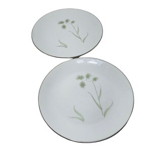 Greenbriar Vita Craft Bavaria Germany Dinner Plate Dish 10&quot; Set of 2 Green Spring Summer, Dinnerware, Tableware, Flatware, Replacement