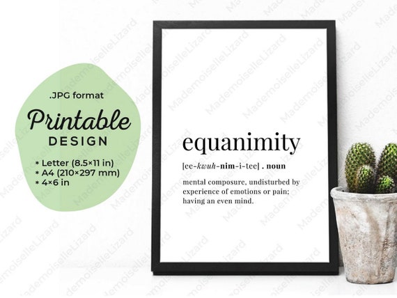 Equanimity definition