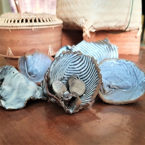 5 Ceramic Shells, unique Mediterranean decoration