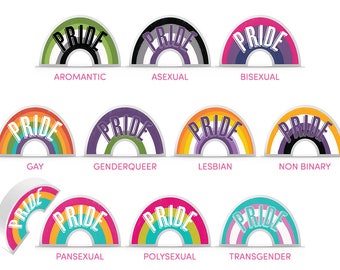 May include: A set of 10 rainbow pride flag stickers with the word "PRIDE" in white text. Each sticker represents a different sexual orientation or gender identity: Aromantic, Asexual, Bisexual, Gay, Genderqueer, Lesbian, Non-Binary, Pansexual, Polysexual, and Transgender.