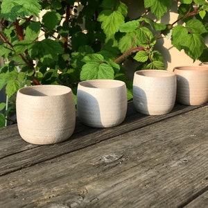 May include: Five small, round, ceramic cups in shades of beige and white, arranged in a row on a weathered wooden surface.