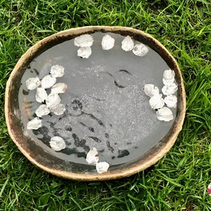 Könnte beinhalten: Ein braunes Keramik-Vogelbad mit Wasser und weißen Blütenblättern, die auf der Oberfläche schwimmen. Das Vogelbad steht auf einem Bett aus grünem Gras.