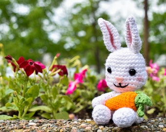 Bashful Bunny Amigurumi Pattern