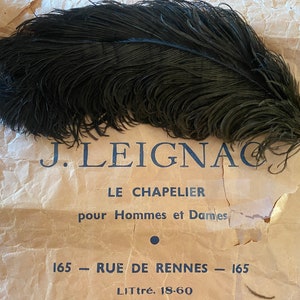 Vintage Antique French black ostrich feathers; 1920s