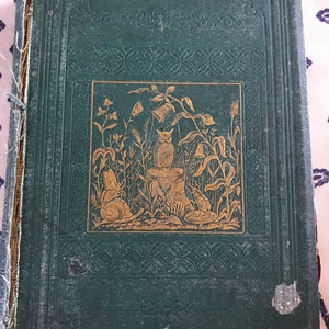The Mystic Bell: A Wonder Story for Young People 1869; Edward Kuntz, author; Putnam Publisher