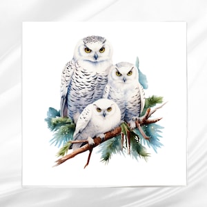 Snow Owl Fabric Panel: Cotton blend Quilt Square