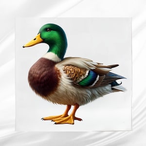 Mallard Duck Fabric Panel: Sewing Quilt Block