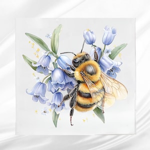 Pode incluir: Ilustração em aquarela de um abelhão pousado em flores de jacintos-dos-bosques. A abelha tem listras pretas e amarelas, com asas e pernas detalhadas. As flores são azul claro, com folhas verdes e pequenos detalhes amarelos.