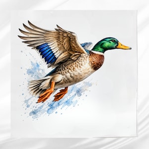 May include: A watercolor illustration of a mallard duck in flight, featuring a vibrant green head, a yellow beak, and brown and white patterned feathers. The wings display a distinct iridescent blue patch, and the duck has orange feet.