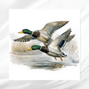 Flying Mallard Duck Fabric Panel: Quilt Block for Sewing Projects