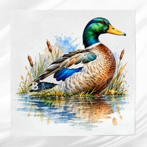 May include: A watercolor illustration of a mallard duck with a vibrant green head, yellow beak, and brown and blue-tipped wings. The duck is positioned among tall cattails and grasses near water, with a reflection visible below the surface.