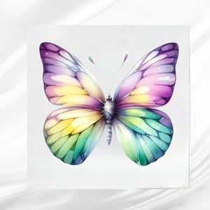 May include: A colorful butterfly illustration with a watercolor effect. The butterfly features wings in shades of purple, pink, yellow, green, and blue. The body is a soft gray color, and the background is white.