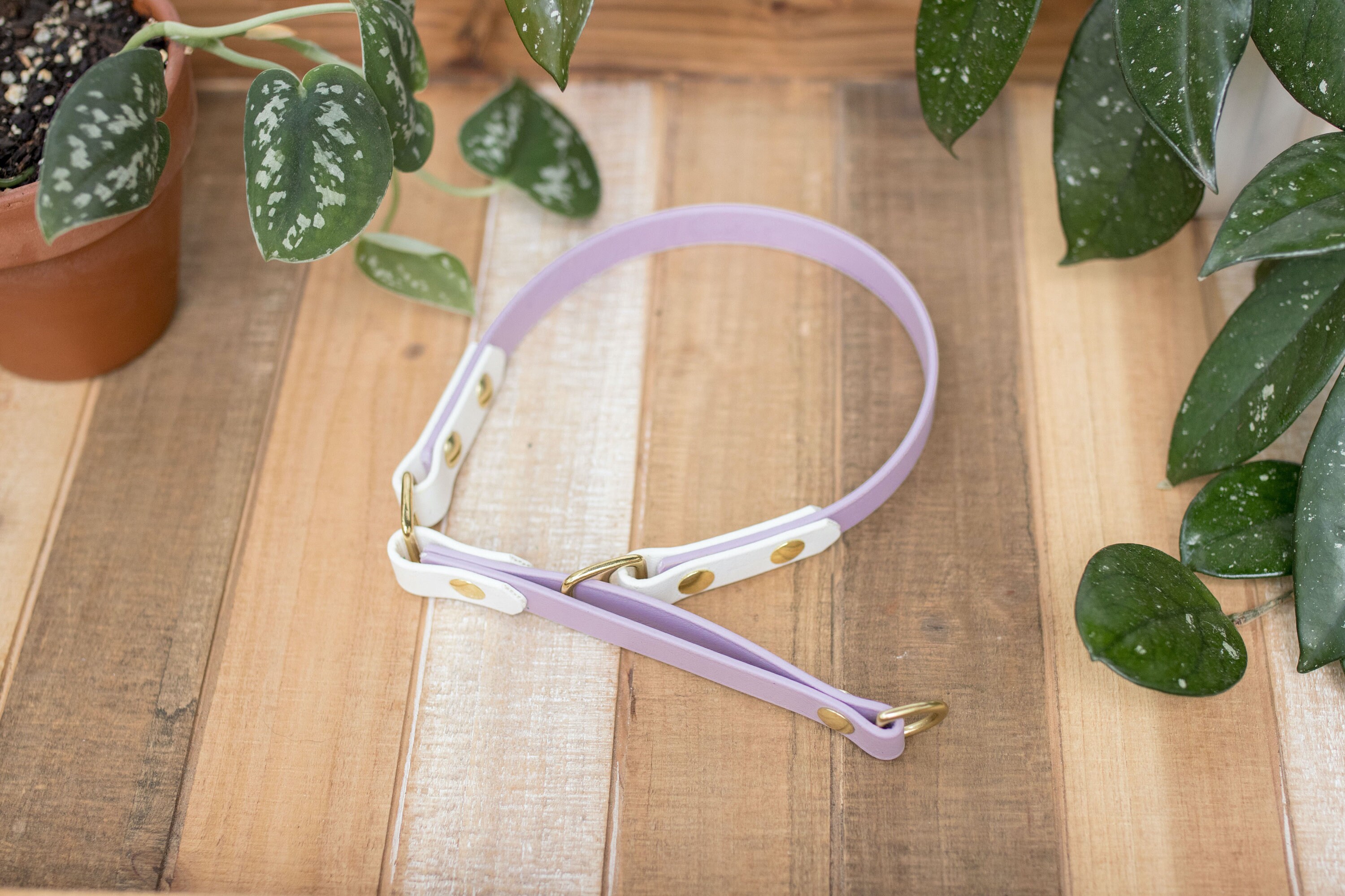 5/8 wide Waterproof Limited Slip Collar adventure Etsy