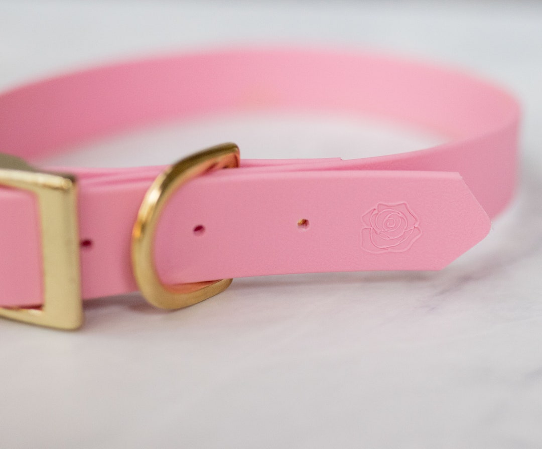 STAMP Addon for Biothane Adventure Collars and Leashes Custom Name