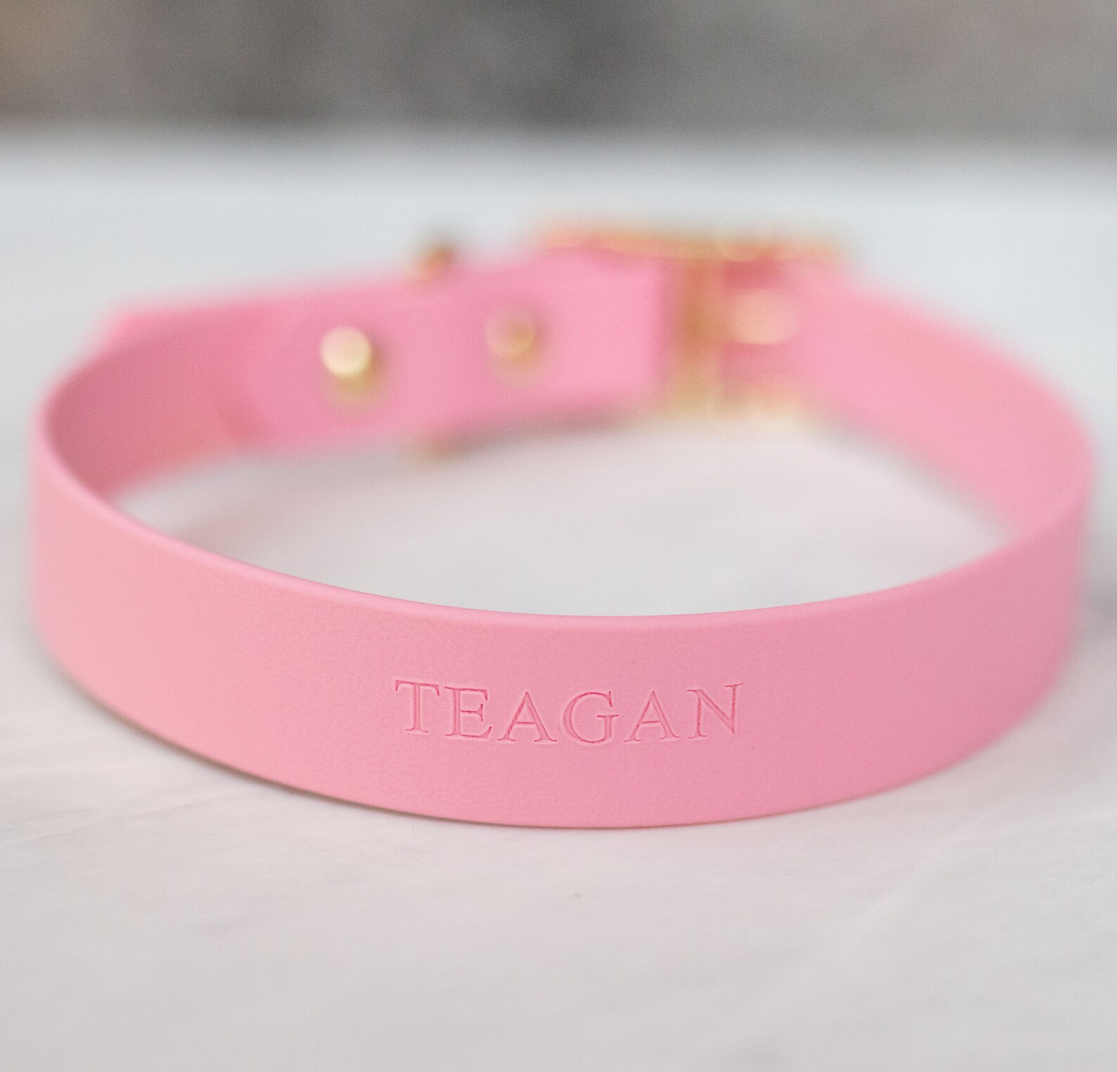 STAMP AddOn for BioThane Adventure Collars and Leashes Etsy