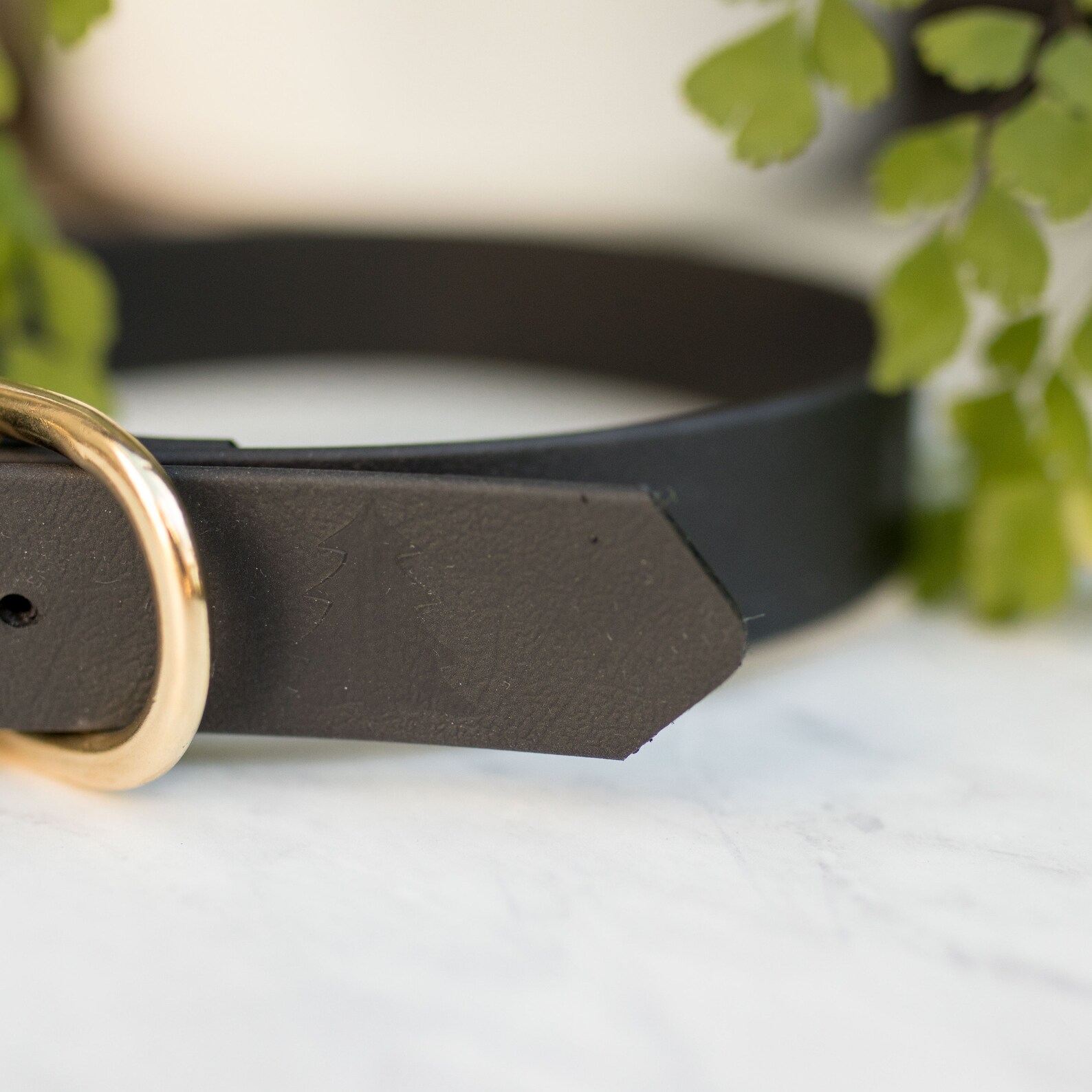 STAMP Addon for Biothane Adventure Collars and Leashes Etsy UK