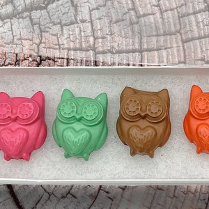 Owl crayon’s kid gift party favor Easter gift Easter basket stuffer gifts for kids woodland party