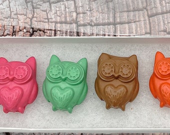 Owl crayon’s kid gift party favor Easter gift Easter basket stuffer gifts for kids woodland party