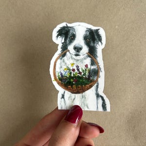 Adesivo impermeabile Border Collie - Adesivo in vinile con simpatico cane e cesto di fiori - Adesivo resistente per animali domestici, per bottiglie d'acqua, laptop, diari