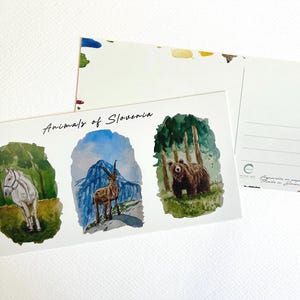 Postkarte Tiere aus Slowenien, Slowenische Tierpostkarte, Postkartenkunst, Slowenische Aquarellkunst, Slowenische Postkarte, Slowenische Kunst