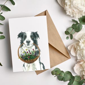 Border Collie, biglietto d'auguri Border Collie, arte acquerello Border Collie, biglietto cane che tiene fiori, biglietto amante degli animali, biglietto veterinario