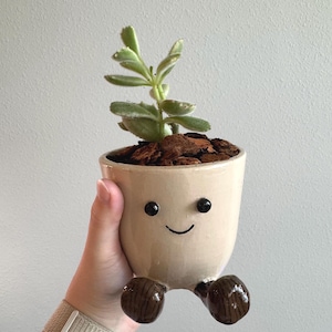 May include: A small, beige ceramic planter with a smiling face, black eyes, and brown feet, holding a small green succulent. The planter is filled with brown mulch. A charming and whimsical decorative item for home or office.