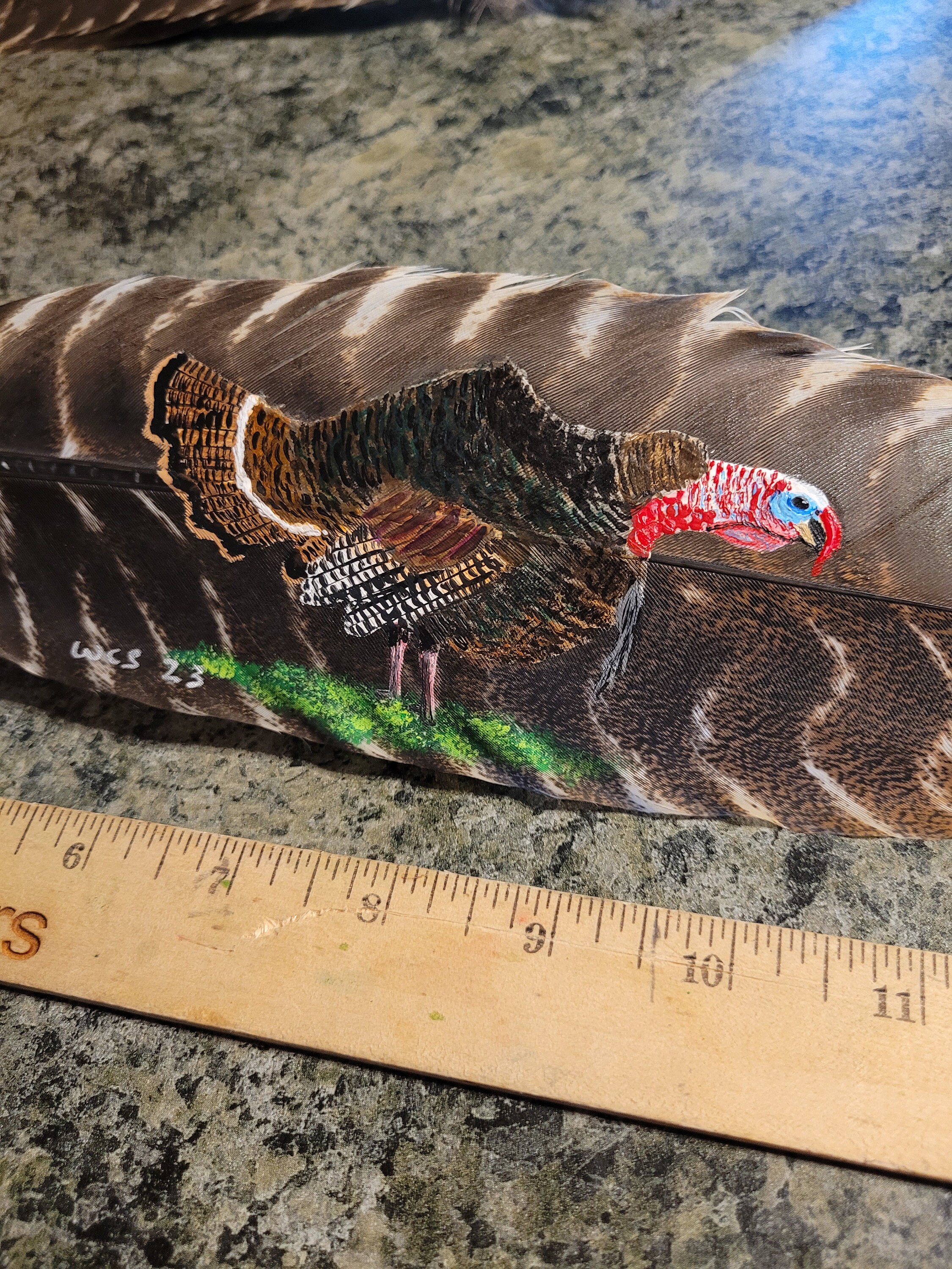 6 Pieces - Natural Brown Wild Tom Turkey Pulled Pointers Primary Wing Quill  Feathers