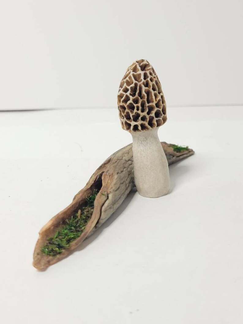 Hand Carved Deer Antler Morel Mushroom Log Shed Antler Etsy